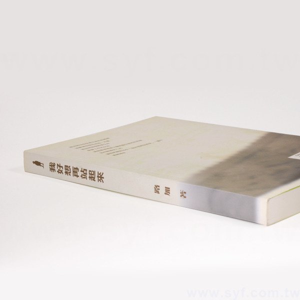 書籍-印刷-膠裝-出版刊物類-ISBN-7127-3