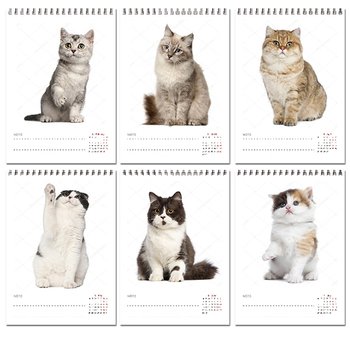 25K桌曆-2024幼貓快速模板推薦-三角桌曆套版少量印刷禮贈品客製化_4