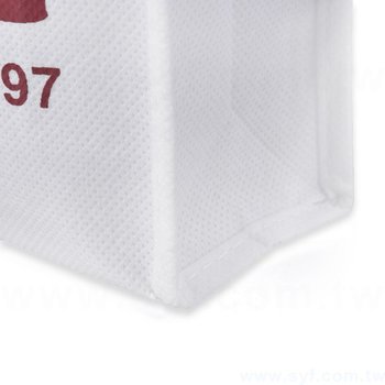 56AA-1004-不織布手提袋-雙面單色網版-不織布印刷多色推薦-批發訂做環保袋