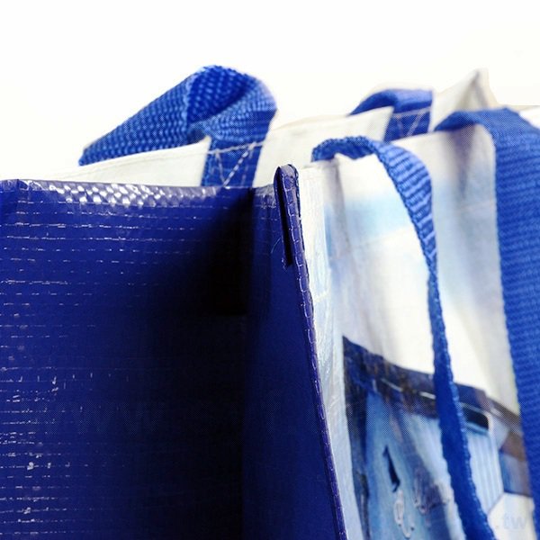 彩色編織袋印刷-亮膜立體袋_3