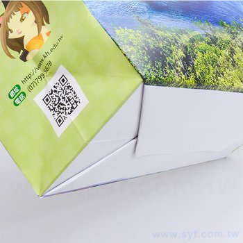 180P雙銅紙袋-26.7x33x10cm彩色印刷-單面霧膜手提袋-客製化紙袋設計_5