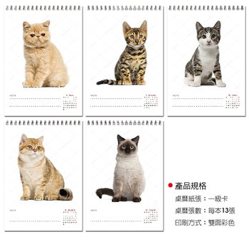 25K桌曆-2024幼貓快速模板推薦-三角桌曆套版少量印刷禮贈品客製化_5