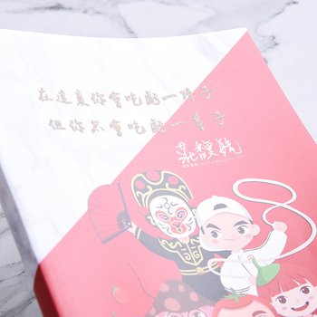 25K/300P彩印銅西卡-內頁160頁單色膠裝筆記本-推薦_4
