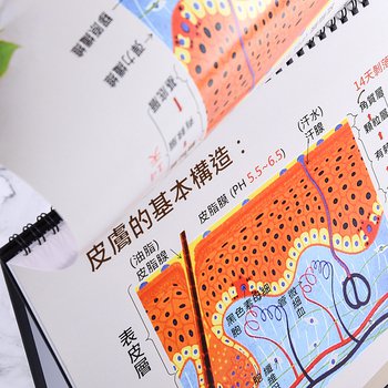 G8K(A4)桌曆-21x29.7cm客製化創意桌曆製作-三角桌曆禮贈品印刷logo_3