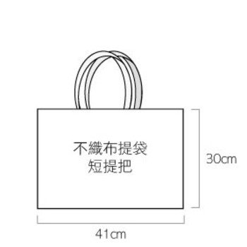 不織布環保袋-41x30cm-單面彩色印刷_1