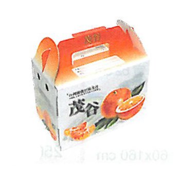手提水果禮盒-A款30x18x21.5cm-客製化紙箱印刷_0