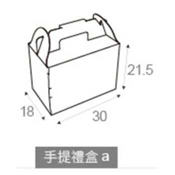 手提水果禮盒-A款30x18x21.5cm-客製化紙箱印刷_1
