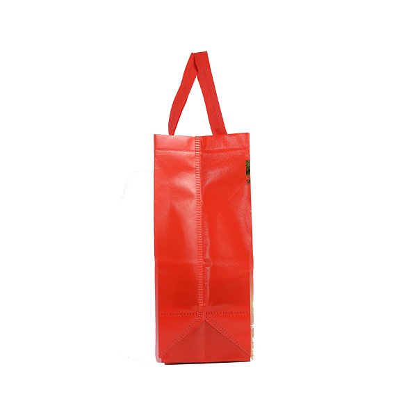 耐用PP編織袋-客製化購物袋_2