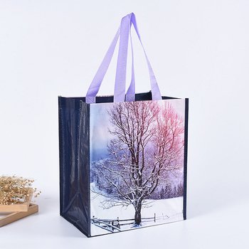 質感PP編織袋-客製化購物袋_0