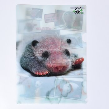 A4單層L夾-全白墨PP材質彩色印刷-180um-企業機關-台北市立動物園(同39AA-0003)_1