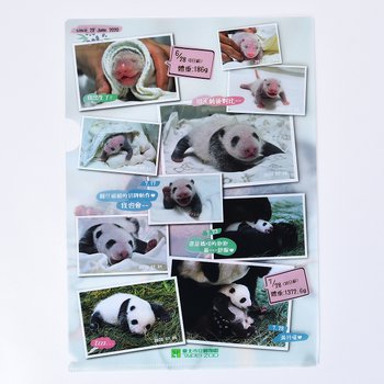 A4單層L夾-全白墨PP材質彩色印刷-180um-企業機關-台北市立動物園(同39AA-0003)_0