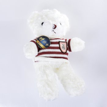 玩偶-30cm毛衣泰迪熊玩具-可客製化印刷logo(同75BA-0008)_1