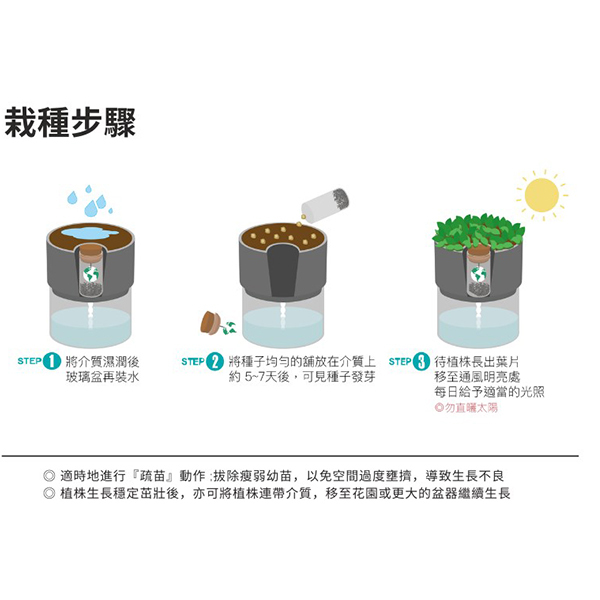 台灣文創環保盆栽_5