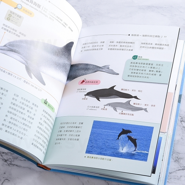 圓背軟皮精裝書_3