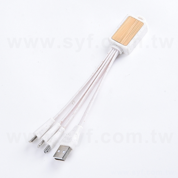 三合一充電線_1