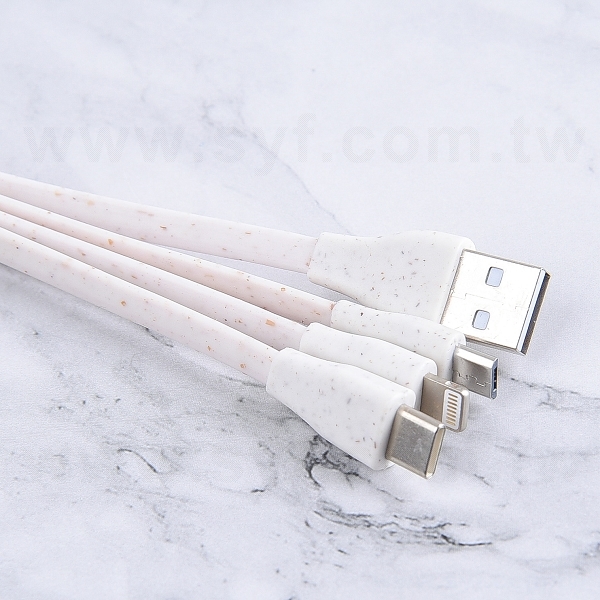三合一充電線_2