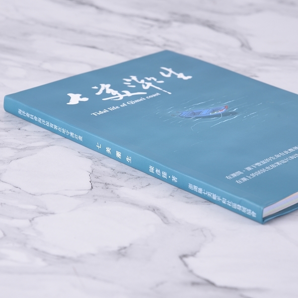 A5軟皮精裝書籍印刷_4