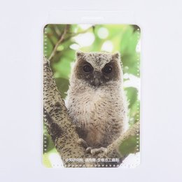 PVC卡套-悠遊卡套-尺寸65x108mm-可印刷logo-企業機關-中央研究院(同51YA-0102)